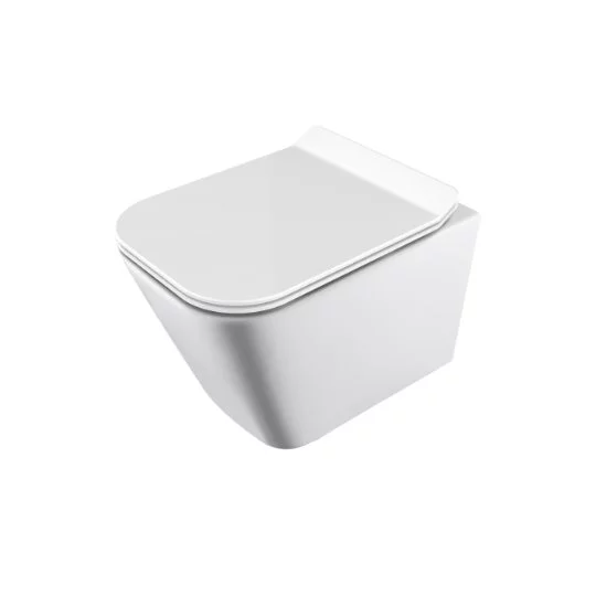 Wall-Hung Toilet W/Toilet Seat & Cover